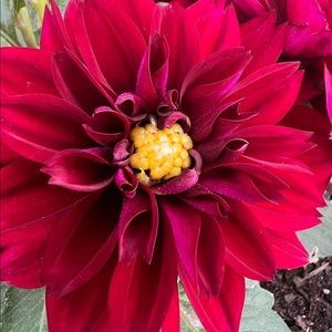 Meet your Posher, Marta